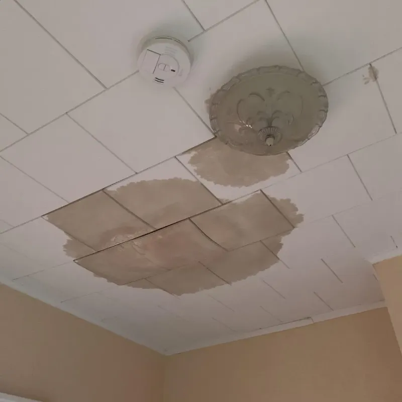 Ceiling Water Damage Repair in Plains, PA