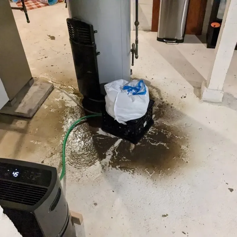 Sewage Backup Cleanup Service in Plains, PA